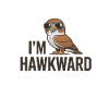 Falke Sonnenbrille Im Hawkward Greifvogel