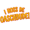I Hoss de Oaschbude