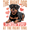 Rottweiler Rottie Dog Breed