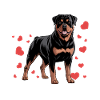 Rottweiler Rottie Dog Breed