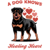 Rottweiler Rottie Dog Breed