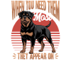 Rottweiler Rottie Dog Breed