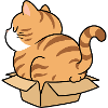 Chaton dans une boîte