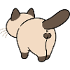 Crosscat with googly paws