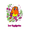 Rotkehlchen Neon Poppig – Der Vogelgarten