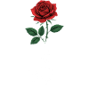 Love Rote Rose