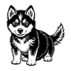 PETIT HUSKY MIGNON