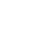 Suricate Erdmännchen
