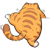Back view tabby kitten