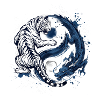 Drache Tiger Yin Yang