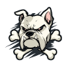 Bouledogue en colère avec os
