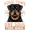 Rottweiler Rottie Dog Breed