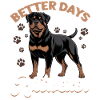 Rottweiler Rottie Dog Breed