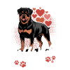 Rottweiler Rottie Dog Breed