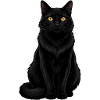 Mystic Black Cat Gift Cat Lover