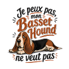 Basset Hound Décontracté