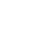 Crystalline Ant Silhouette