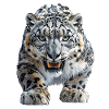 Schneeleopard