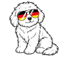German flag dog German Germany dogs