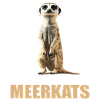 Meerkat Erdmännchen