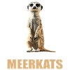 Suricate Erdmännchen