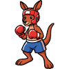 Boxing Kangaroo Australien