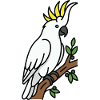 Australischer Vogelkakadu