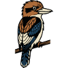 Oiseau kookaburra