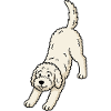 Posture de yoga du chien gribouillé