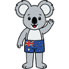 Koala australien