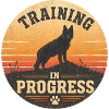 Training in Progress