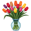 Tulipes