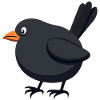 oiseau merle noir