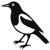 Pie Bird