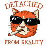 Detached From Reality Funny Cat Sunglasses 