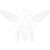 Silhouette d’insecte guêpe