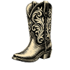 Bottes de cowboy