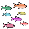 Pisces