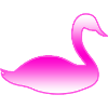 swan