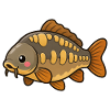 Cute Mirror Carp Kids Fishing