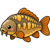 Cute Carp Kids Angeldesign