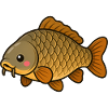 Cute Common Carp Kids Fishing
