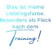 Voltigieren Training: Lustiger Volti Spruch