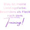 Voltigieren Training: Lustiger Volti Spruch