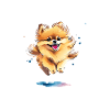 Pomeranian-Pyjama-Haar