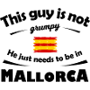 Brushed Spanish Mallorca Flag Stripes