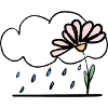 Fleur sous la pluie