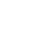 Skull with Horns Motif