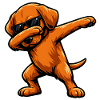 Tabbing Vizsla
