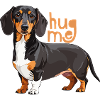 Cuddly dachshund with hug me font